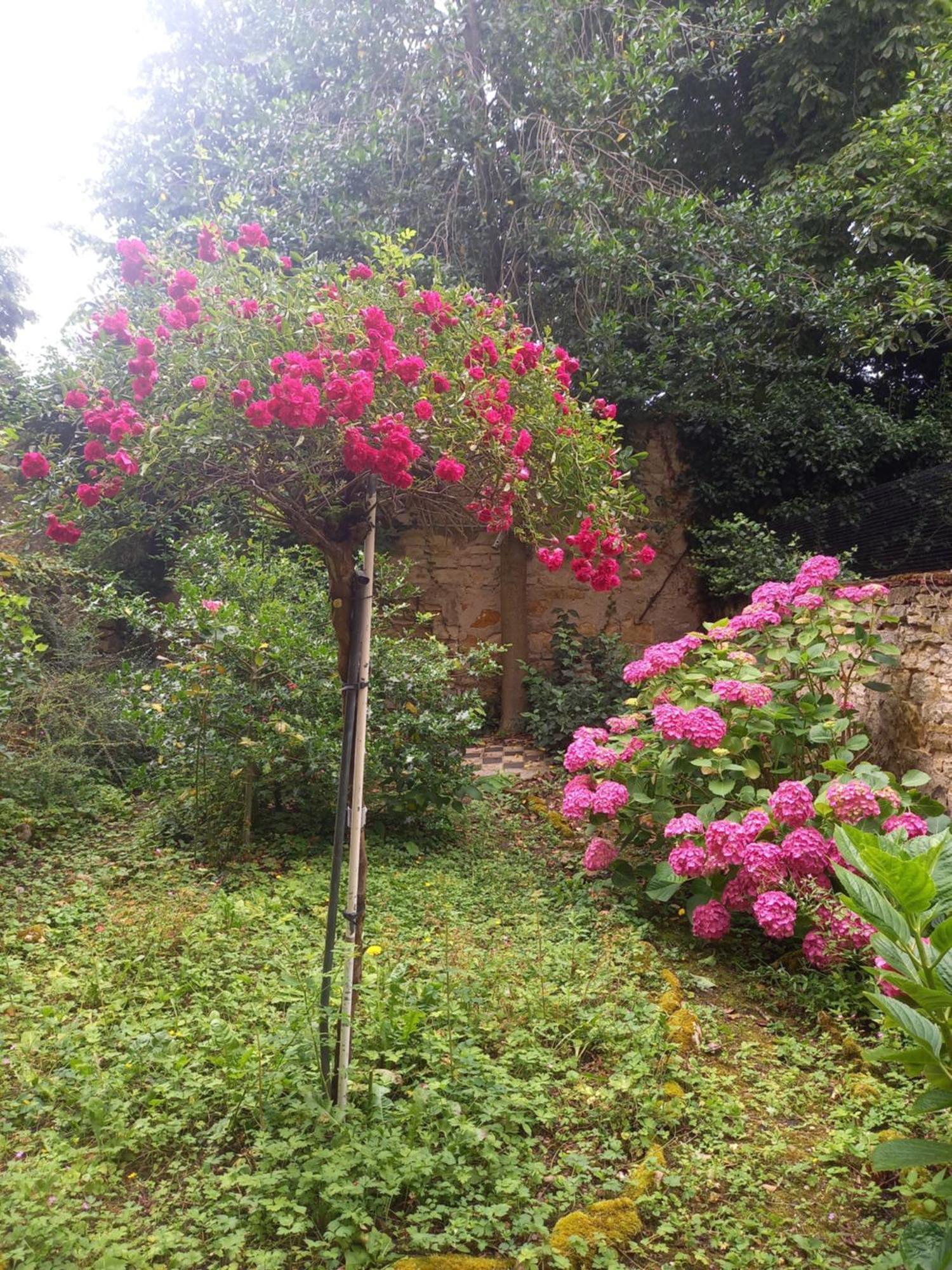 La Teranga De Kadi & Cathy, Avec Jardin Privatif Apartment Нанси Екстериор снимка
